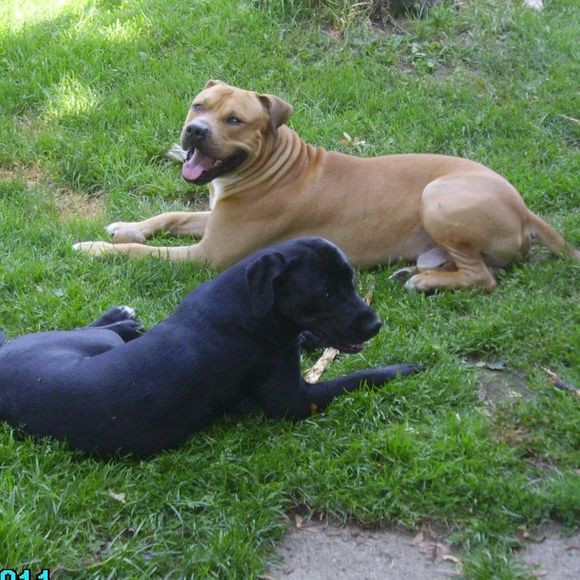 Meet your Posher, Kevin - Picture 1 of 1